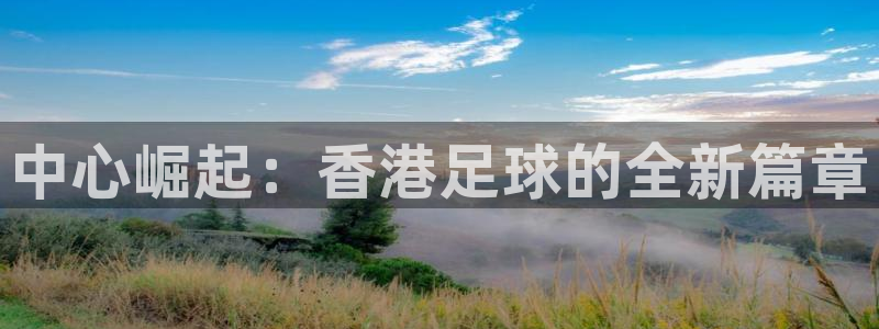 谁有皇冠正规app